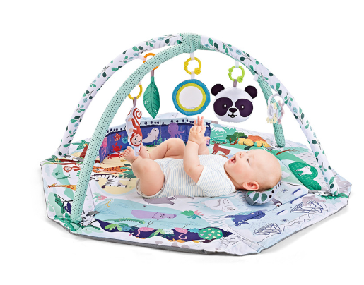 8-in-1 Baby Speelkleed met 6 Speeltjes | Stimulatie van Zintuigen en Motoriek voor Baby’s